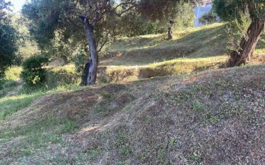 Seafront buildable Land in Corfu for sale