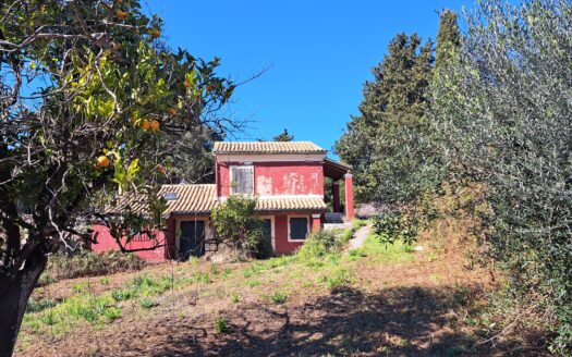 100m2 house with large 6000m2 plot in Temploni