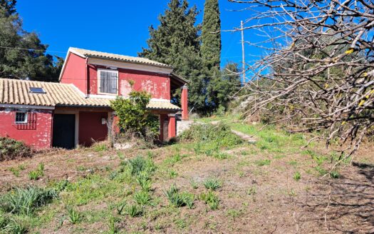 100m2 house with large 6000m2 plot in Temploni