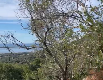 Fully licensed plot in the South West of Corfu for sale