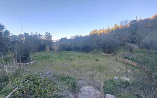 Plot in Myrtiotissa for sale 450m to the Beach