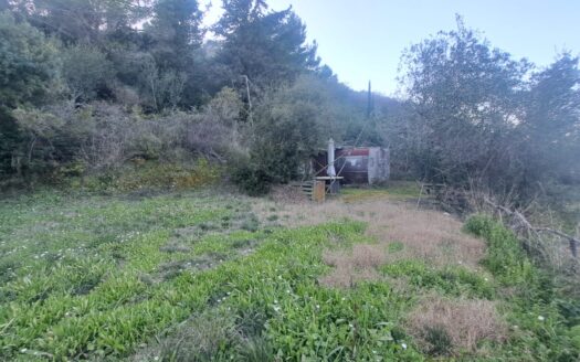 Plot in Myrtiotissa for sale 450m to the Beach