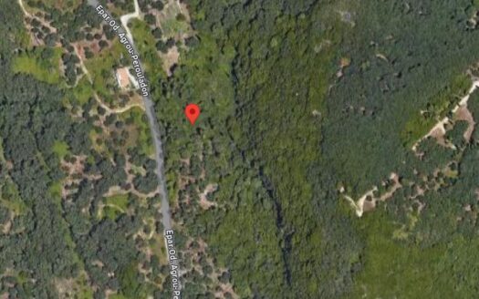 9500m2 plot in Ag. Georgios Pagon For Sale