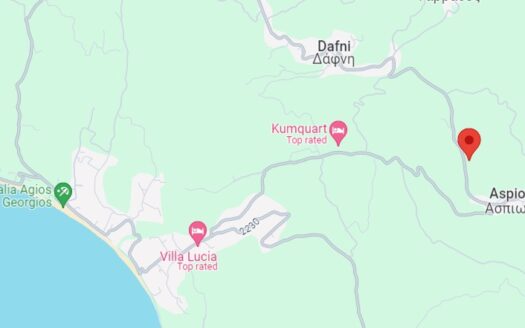 9500m2 plot in Ag. Georgios Pagon For Sale