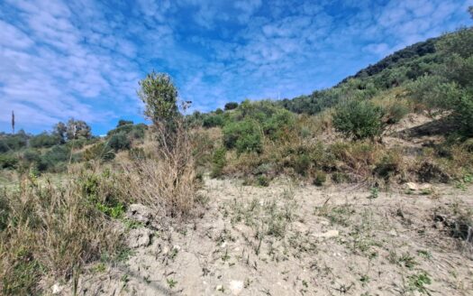 5000m2 Beach Front Plot for sale in Ag. Georgios Pagon, Corfu