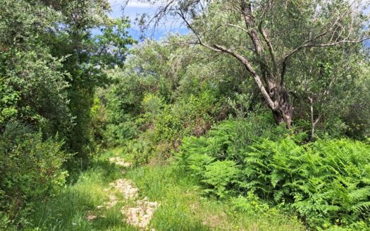 Amazing sea view plot in Avlaki, North East Corfu