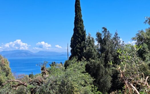 Two houses for sale in the South East – Psaras/Chlomos