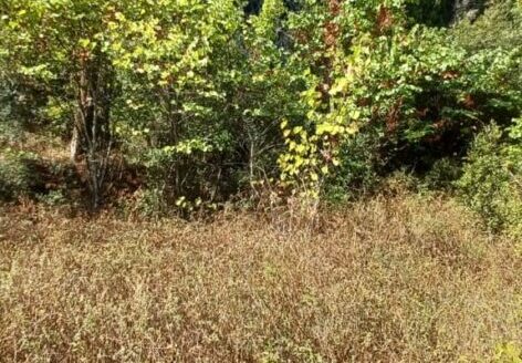 Beachside plot in Agios Stefanos, North East