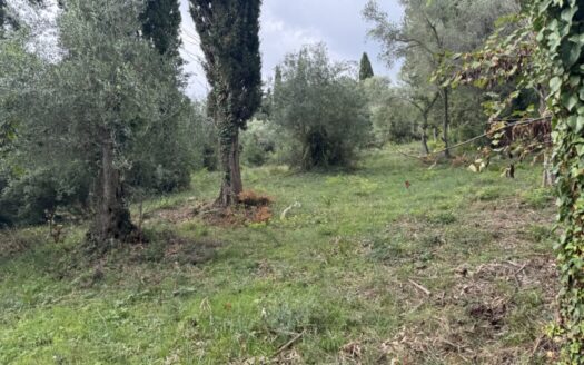 3000m2 buildable plot in Kato Korakiana