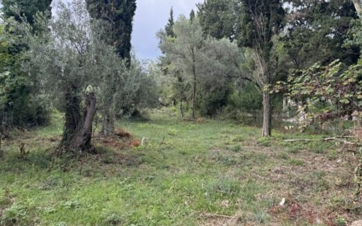 3000m2 buildable plot in Kato Korakiana