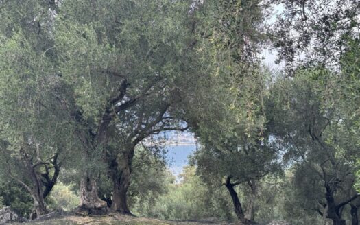 Buildable plot with sea views in Kommeno