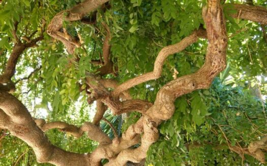 13 apartments – Investment Property with Excellent Amenities