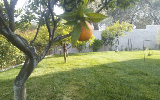 13 apartments – Investment Property with Excellent Amenities