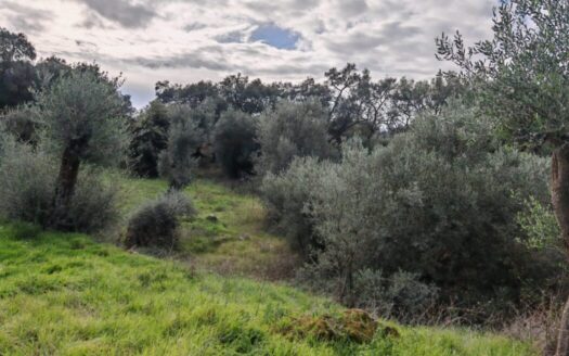 Buildable Plot in Platonas North Corfu with beautiful surroundings