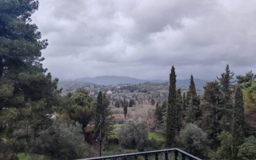 Fantastic Opportunity Conveniently Located in Sgobou, Poulades