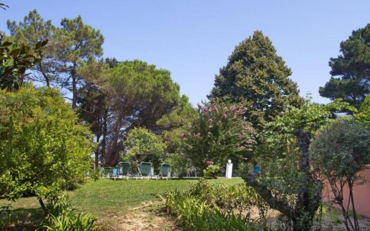 A Rare Find & Unique 6 Bedroom Beach Side Property & Retreat Estate