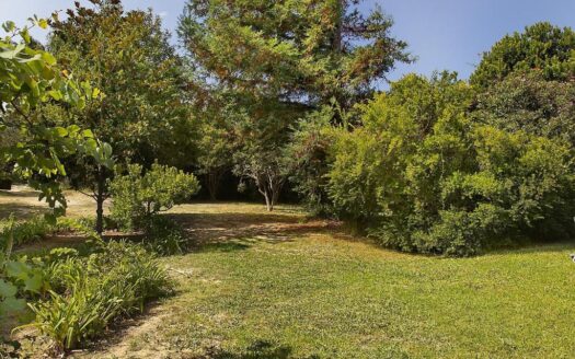 A Rare Find & Unique 6 Bedroom Beach Side Property & Retreat Estate