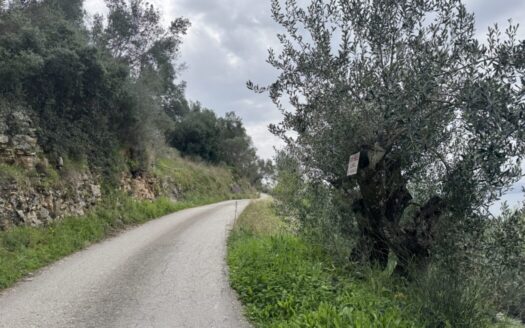 Buildable Plot with Stunning Sea Views – Katavolos, Nissaki