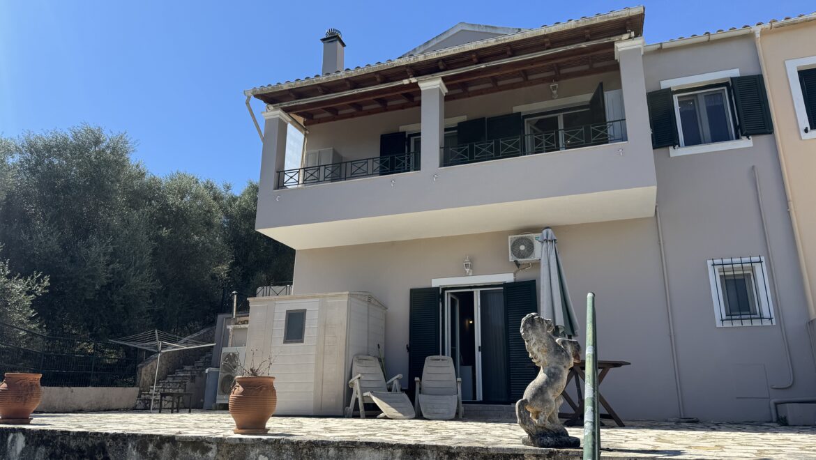 video image