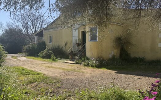 Two Houses on a Spacious 5,000m² Plot – A Unique Investment Opportunity in Kokkini