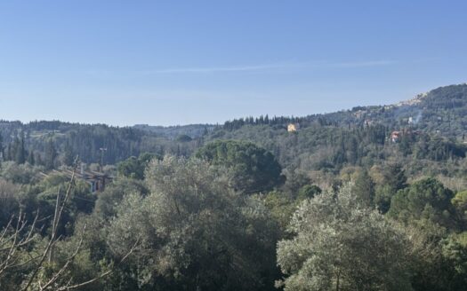 Two Houses on a Spacious 5,000m² Plot – A Unique Investment Opportunity in Kokkini