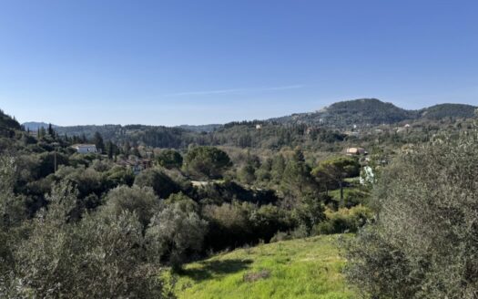 Two Houses on a Spacious 5,000m² Plot – A Unique Investment Opportunity in Kokkini