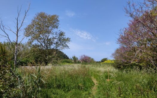 Exclusive Cliffside Villa with 10% Yield & Development Potential | 8BR Luxury Retreat