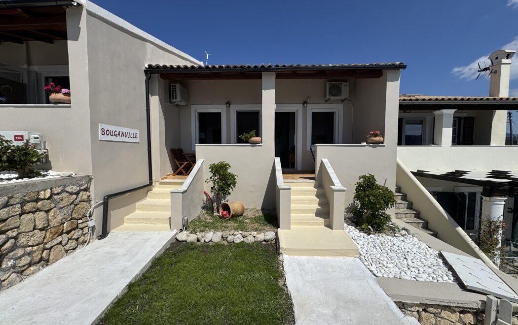 video image