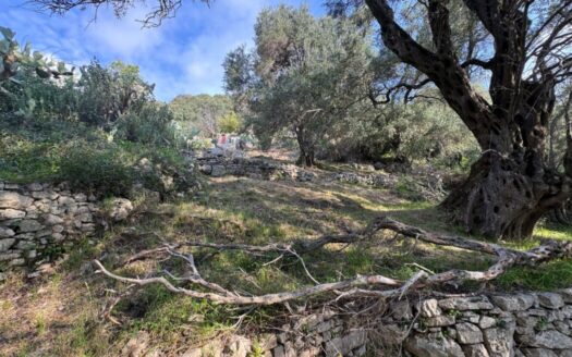 Build Your Vision in Viglatouri – Sea Views & Development Potential