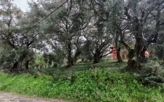 Buildable Plot for Sale – Acharavi Area, North Corfu