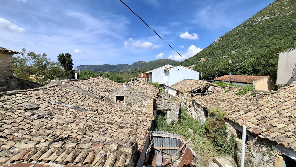 video image
