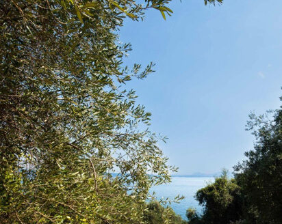 Ground floor sea view apartment close to Barbati