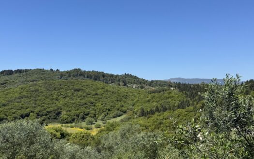 Distinctive Corfu Villa with Marble Interiors and Scenic Vistas