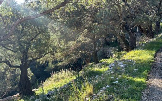 5,300m² Sea View Plot with Development Rights – Build Up to 186m² with Basement