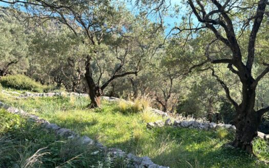 5,300m² Sea View Plot with Development Rights – Build Up to 186m² with Basement