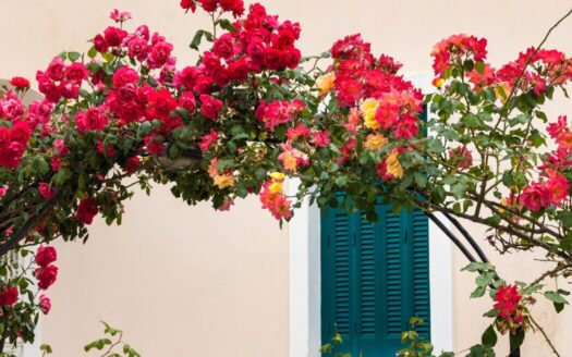 Investing in property on lesser-known Greek islands with expert tips and guidance on legal, market, and lifestyle considerations.