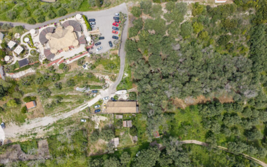 Café-Restaurant Archontiko – Established Business with Exceptional Investment Potential