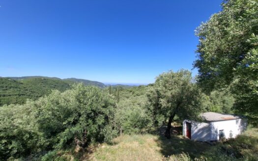 Plot for Sale – Between Spartilas and Sgourades, Corfu