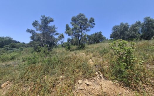 Build-Ready Sea View Plot with Approved Plans in Corfu