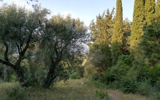 Build-Ready Sea View Plot with Approved Plans in Corfu