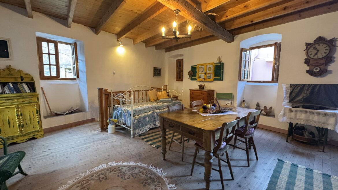video image