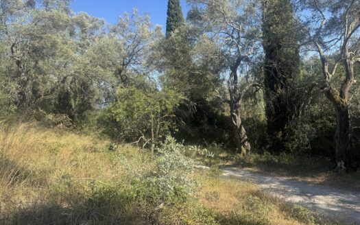 Main Road Plot with Building Potential