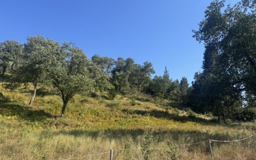 Beautifull plot in Ano Korakiana with mountain views