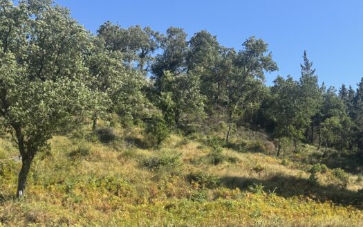 Beautifull plot in Ano Korakiana with mountain views