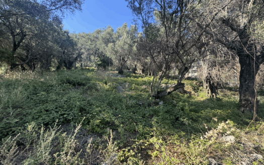 Sea view Plot in Agios Markos Village