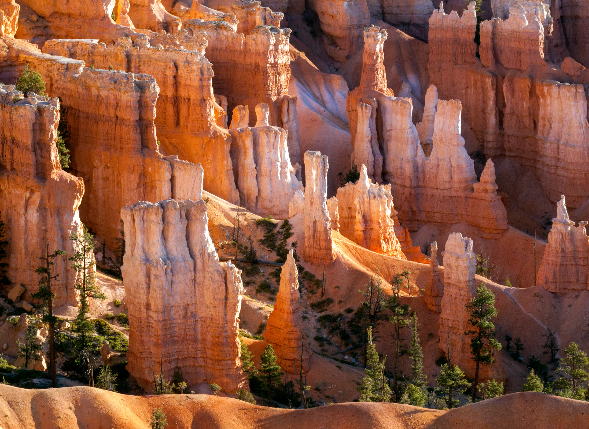 Investment opportunities near Greece’s national parks offer beautiful landscapes, eco-tourism potential, and rising property values.