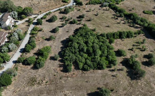 Residential Plot for Development in Temploni