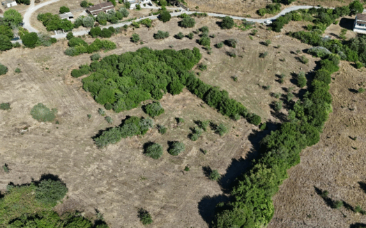 Residential Plot for Development in Temploni
