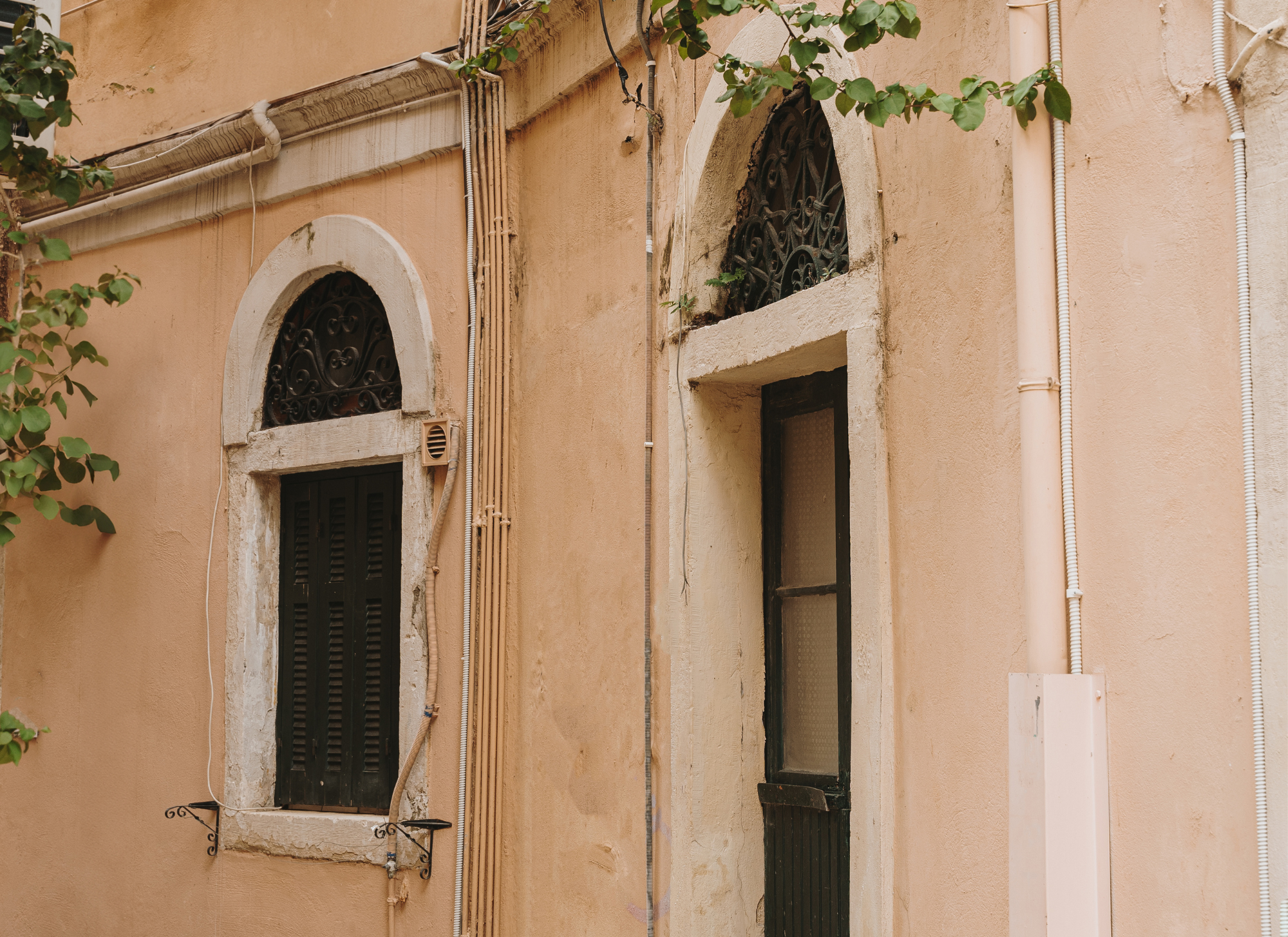 Charming rental villa in Corfu surrounded by lush greenery.
