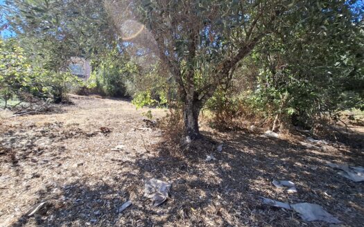 Sea-View Buildable Plot in Sinies, North Corfu